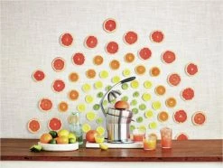 Entsafter & Zitruspressen Sage The Citrus Press Pro Zitruspresse Edelstahl -KÜCHENKLEINGERÄTE Verkäufe d44ccb12 b24d 456d b00b 902ac644c629 600x600